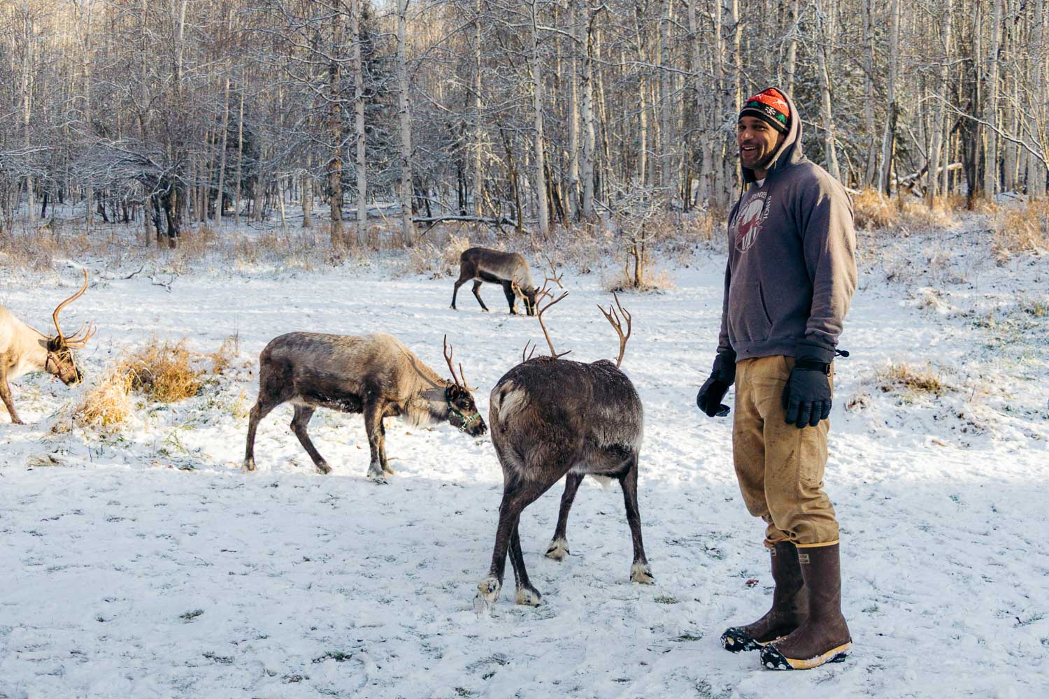 Running Reindeer Ranch | Roads and  Destinations