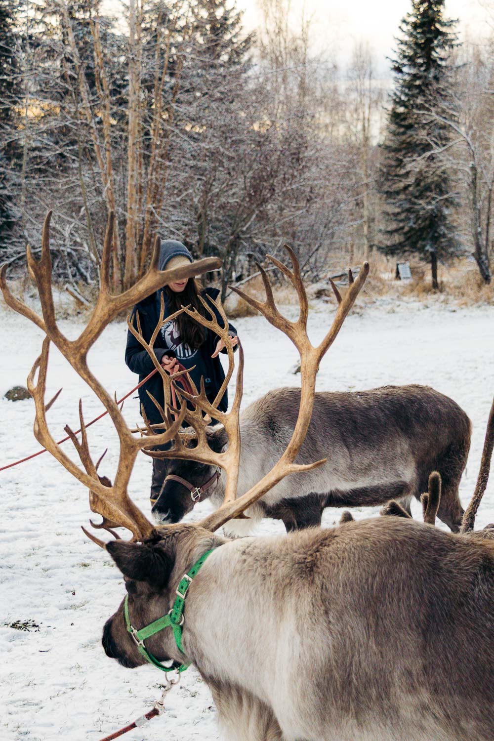 Alaska | Roads and Destinations