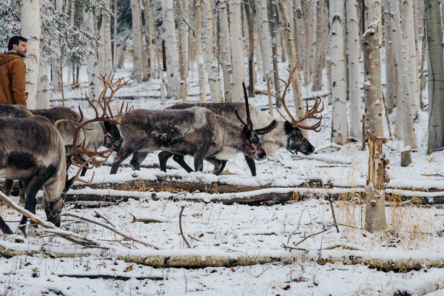 Alaska | Roads and Destinations