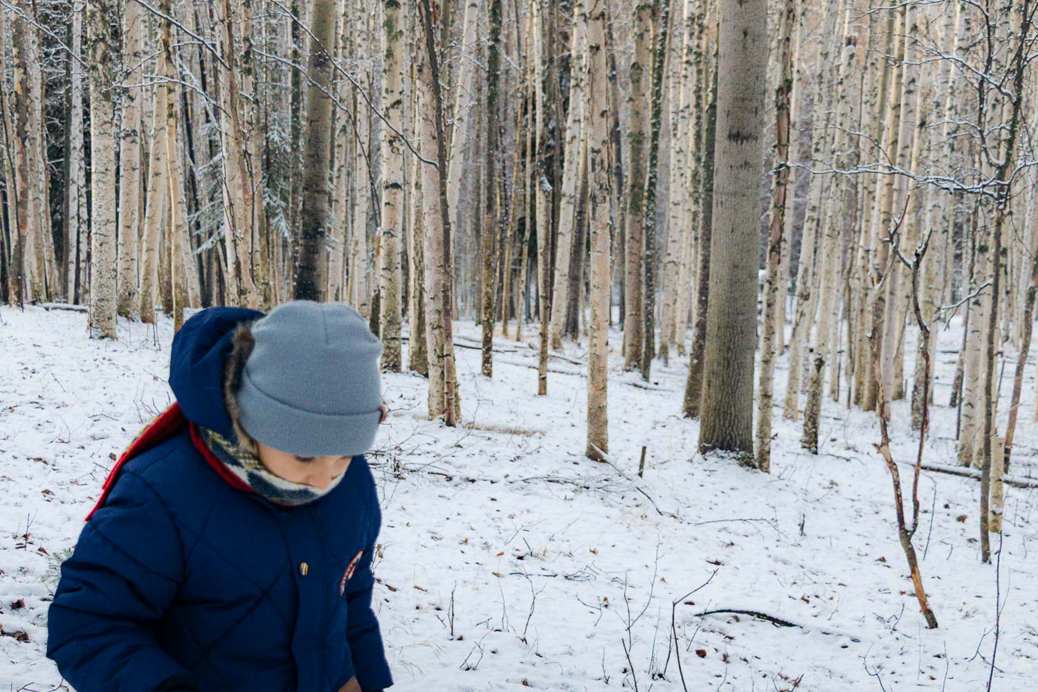 Running Reindeer Ranch | Roads and Destinations