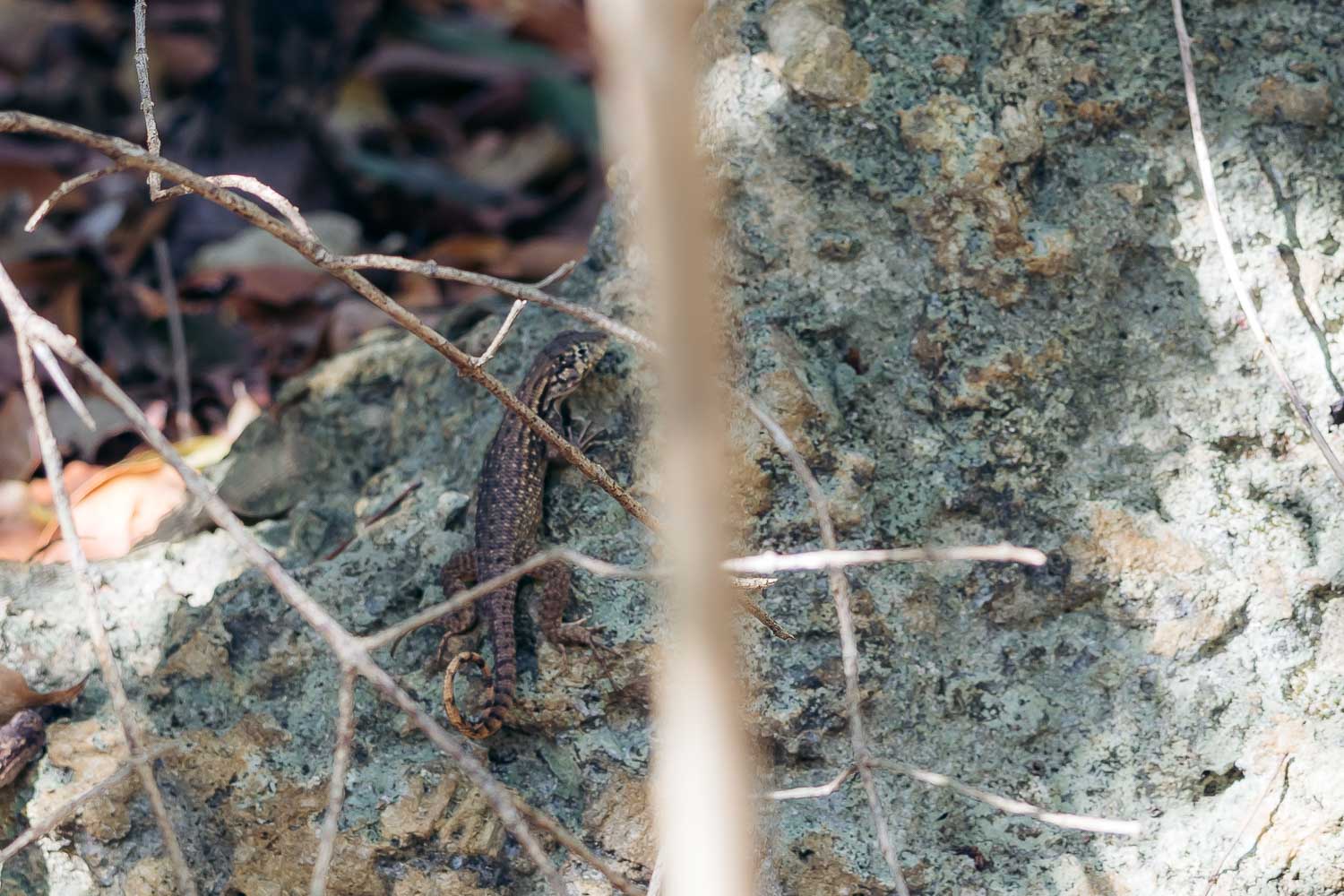 Florida Keys | Roads and Destinations