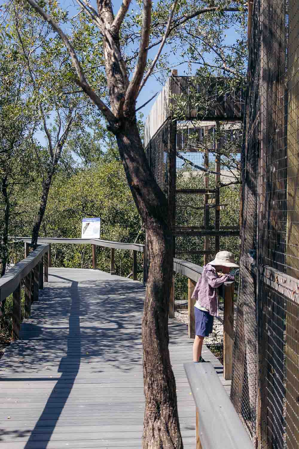 Laura Quinn Wild Bird Sanctuary | Roads and Destinations