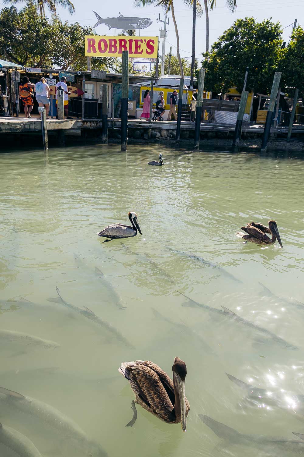 Florida Keys | Roads and Destinations