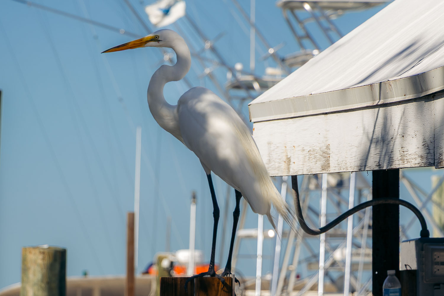 Florida Keys | Roads and Destinations