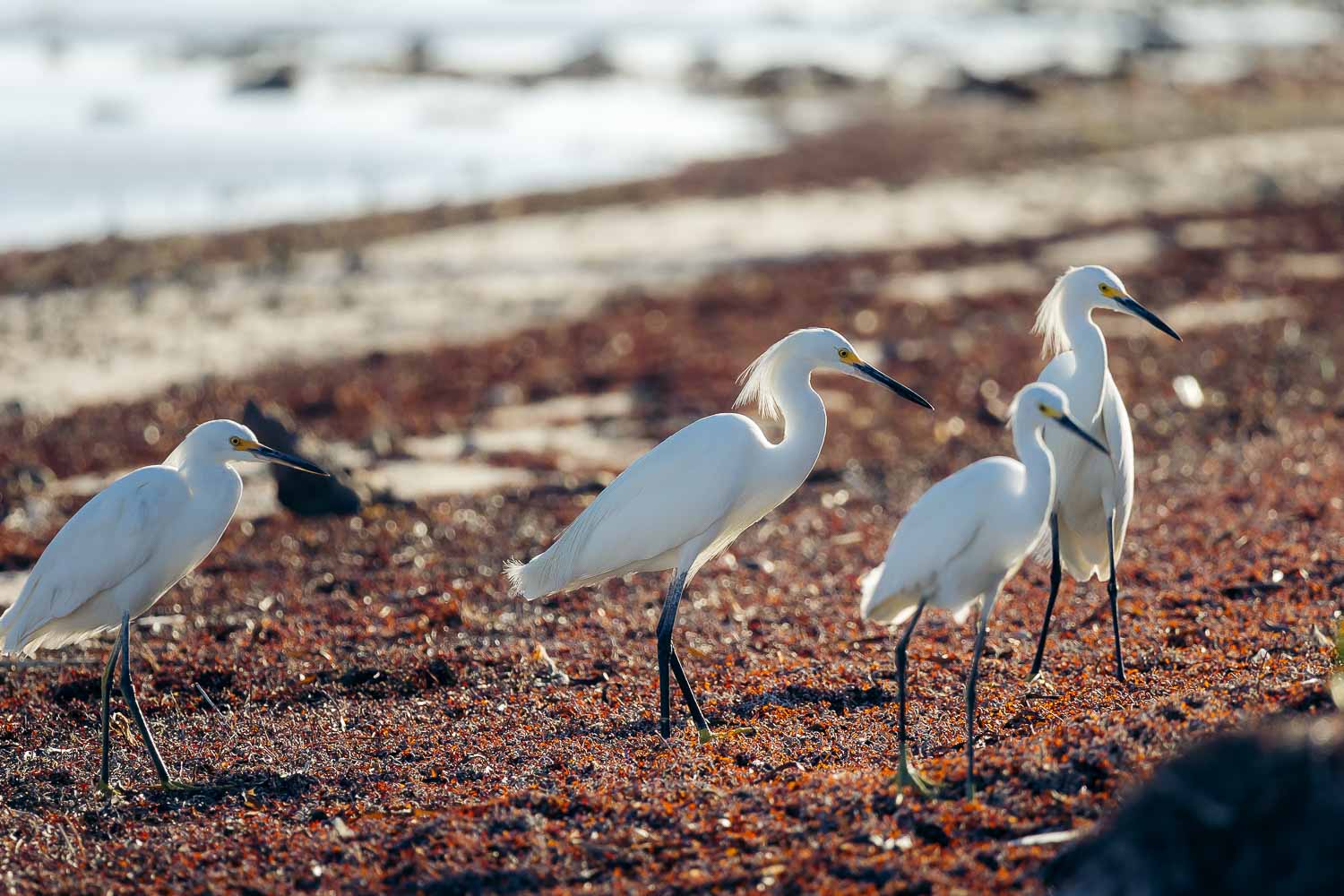 Long Key State Park | Roads and Destinations