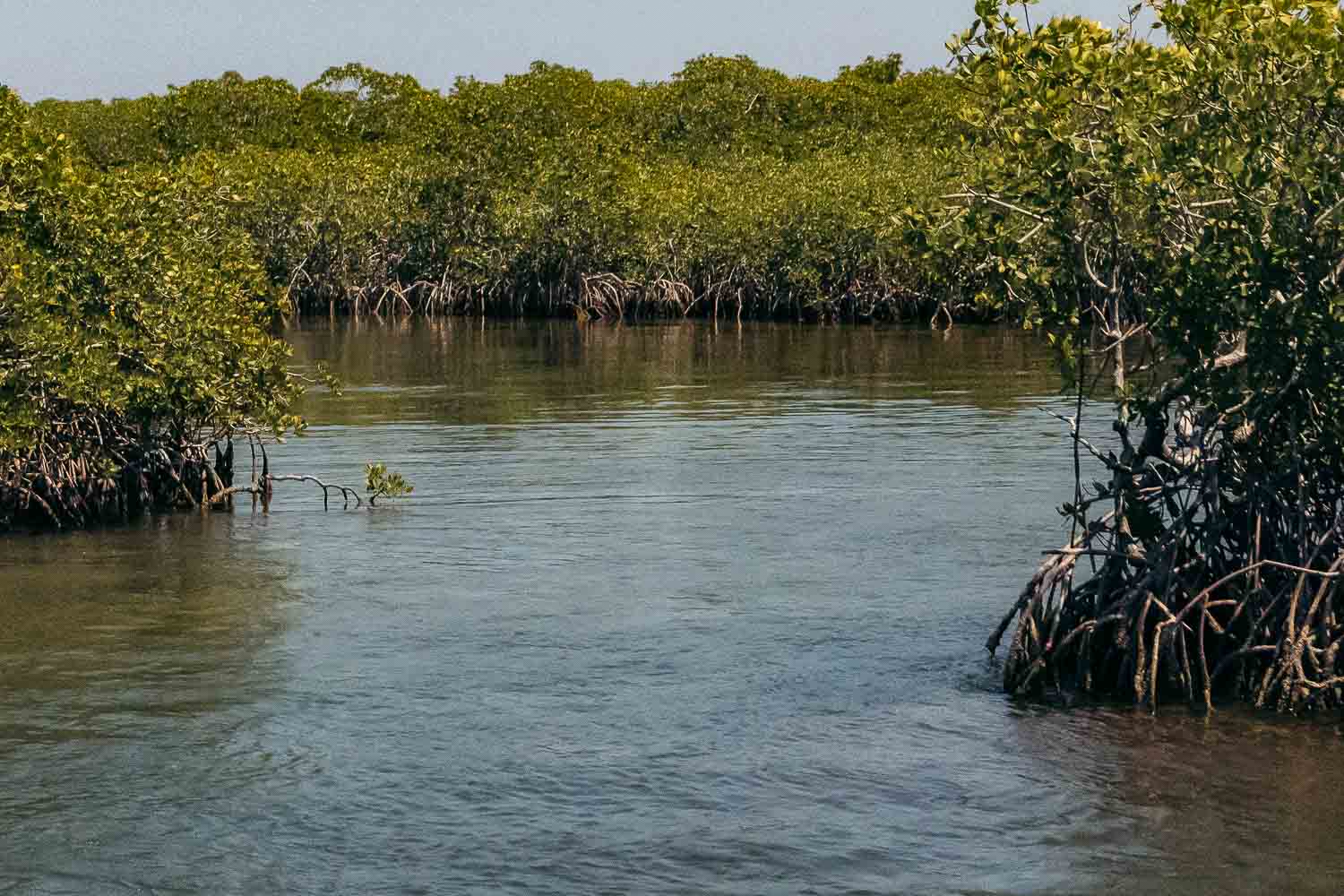 Florida Keys | Roads and Destinations