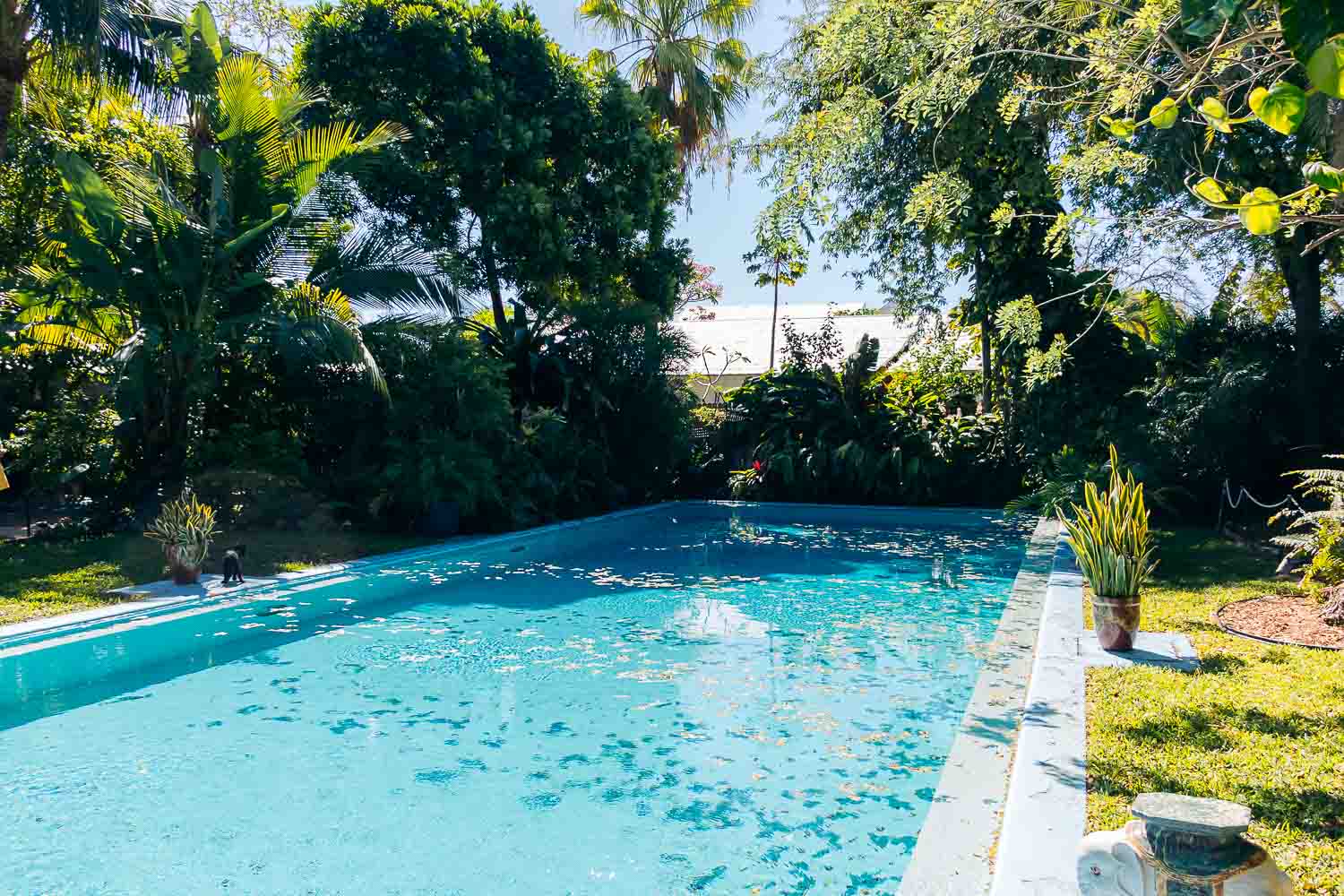 Hemingway Home and Museum | Roads and Destinations