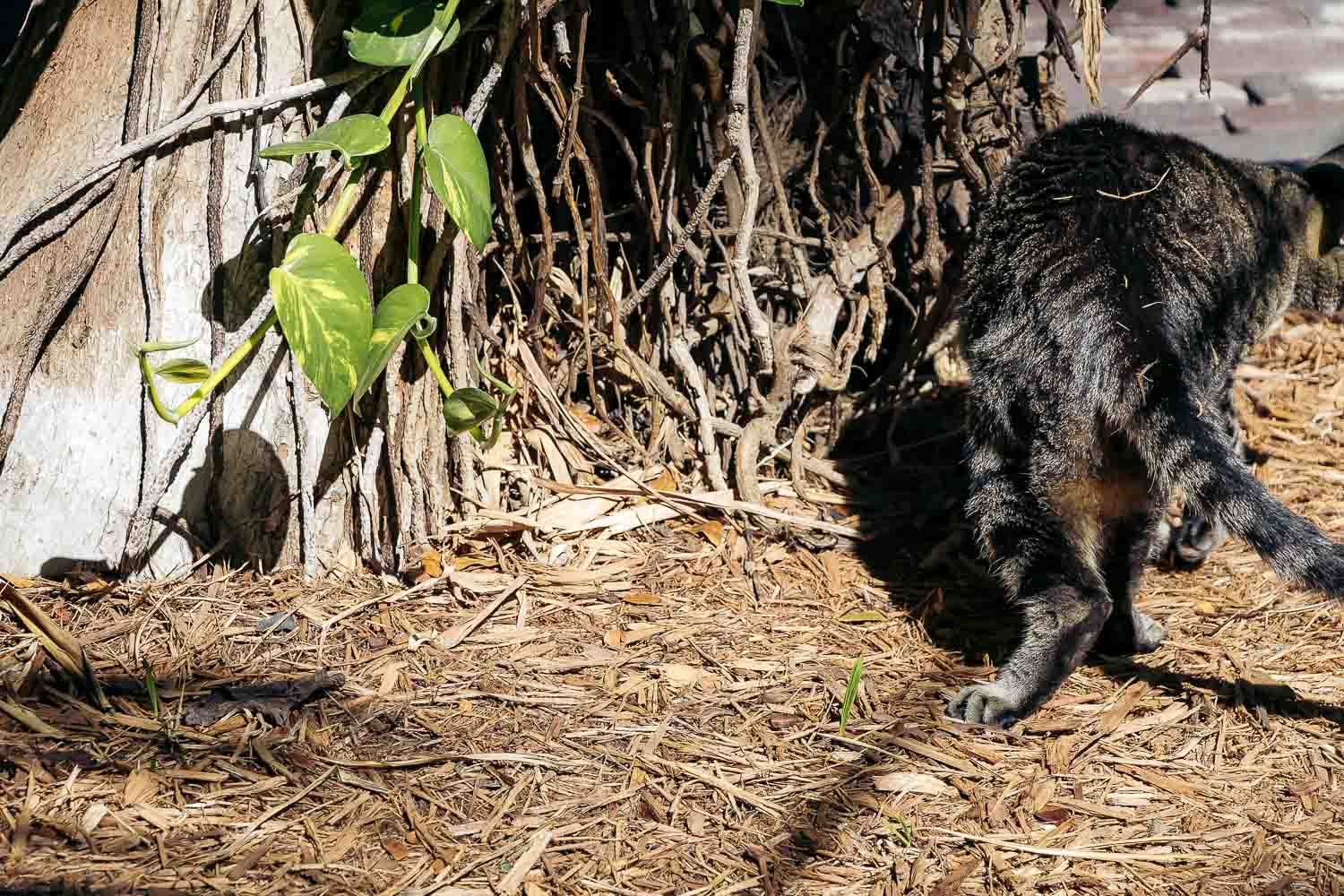 Key West | Roads and Destinations