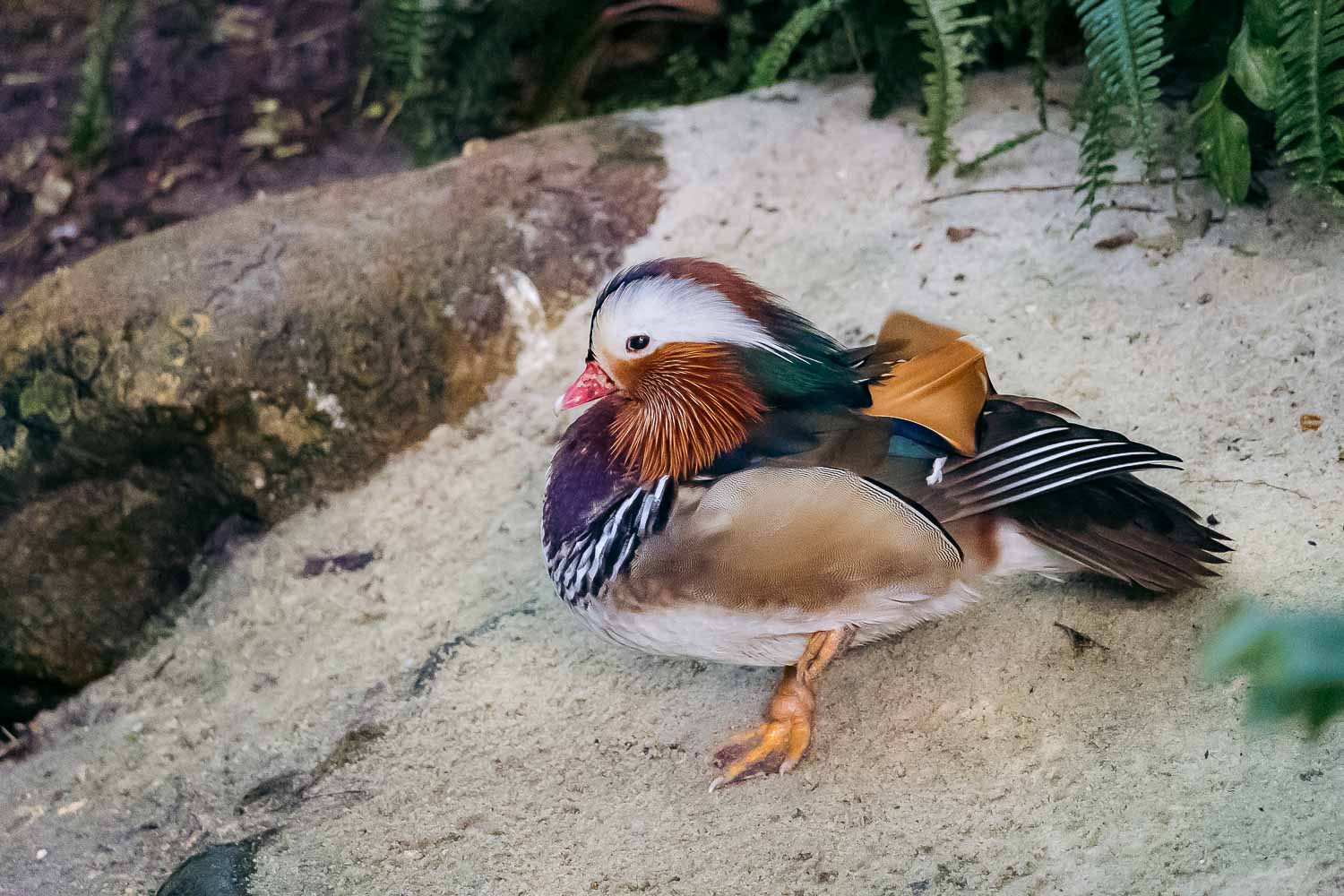 Florida | Roads and Destinations