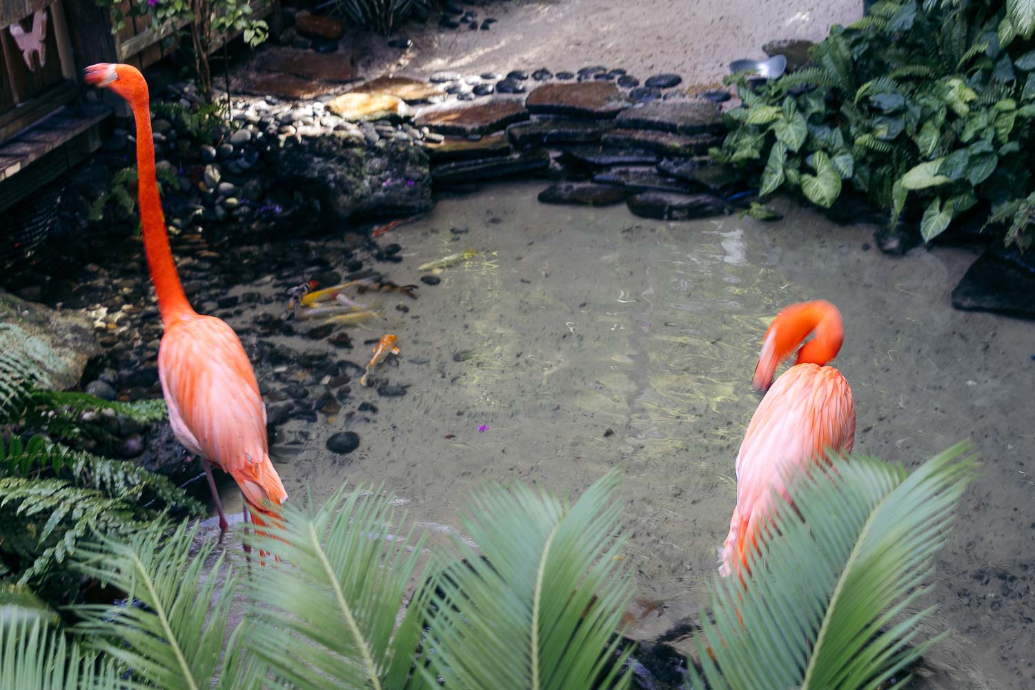 Florida | Roads and Destinations