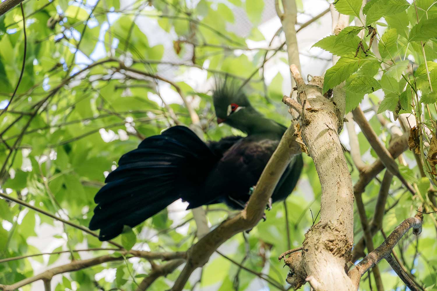 Florida | Roads and Destinations