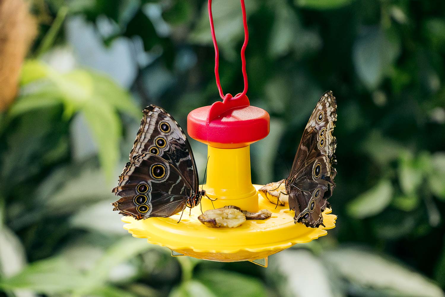 Florida | Roads and Destinations