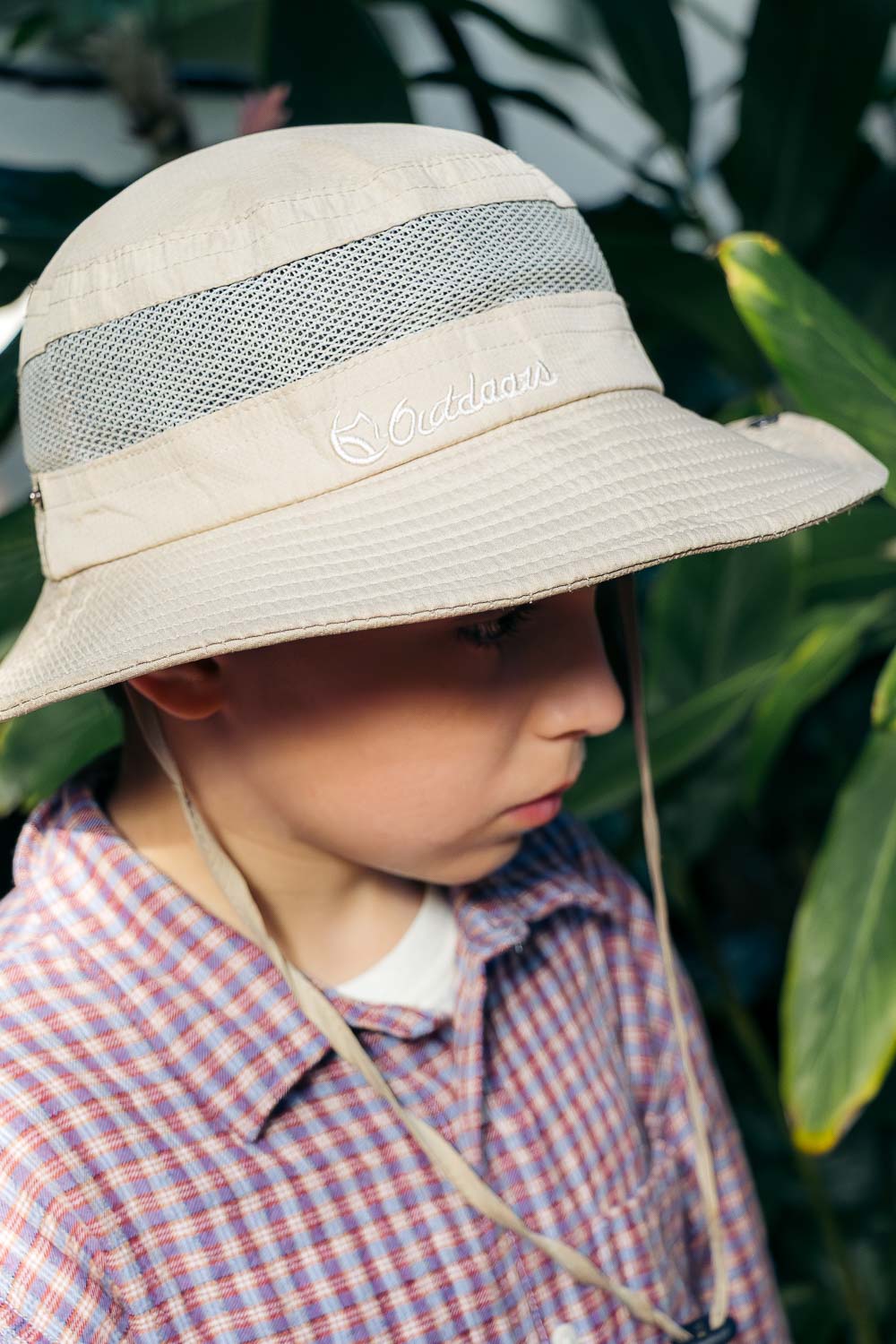 Key West Butterfly and Nature Conservatory | Roads and Destinations