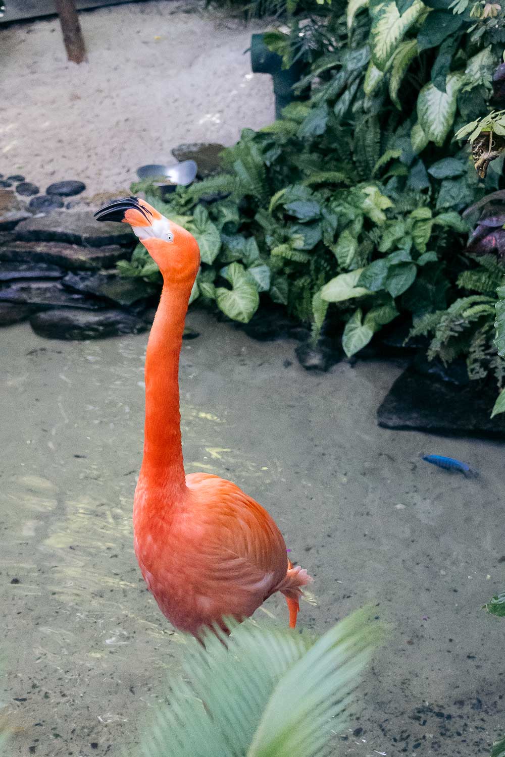 Florida | Roads and Destinations