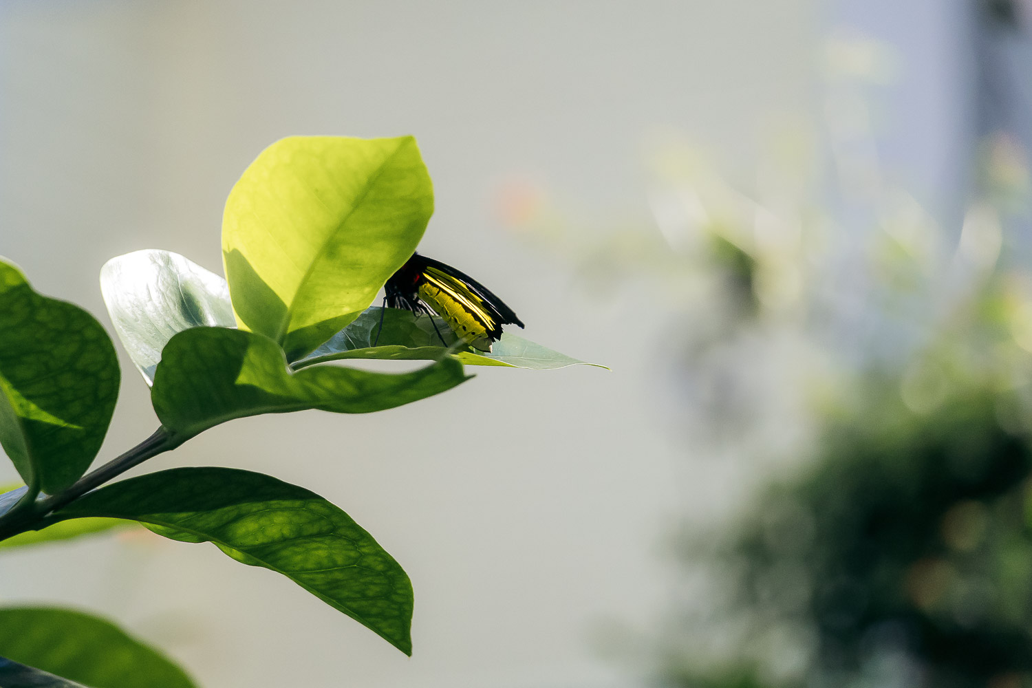 Florida | Roads and Destinations