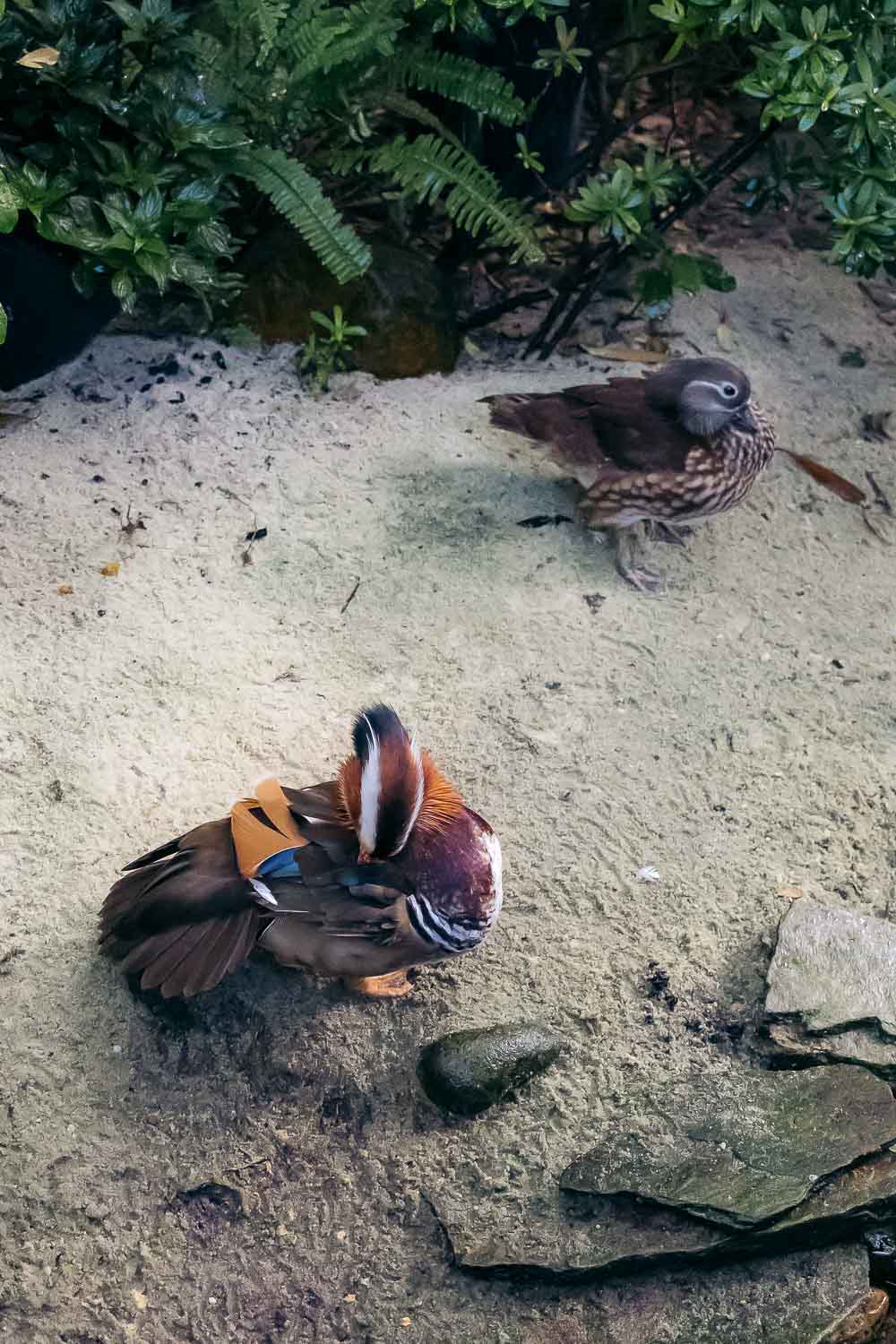 Florida | Roads and Destinations