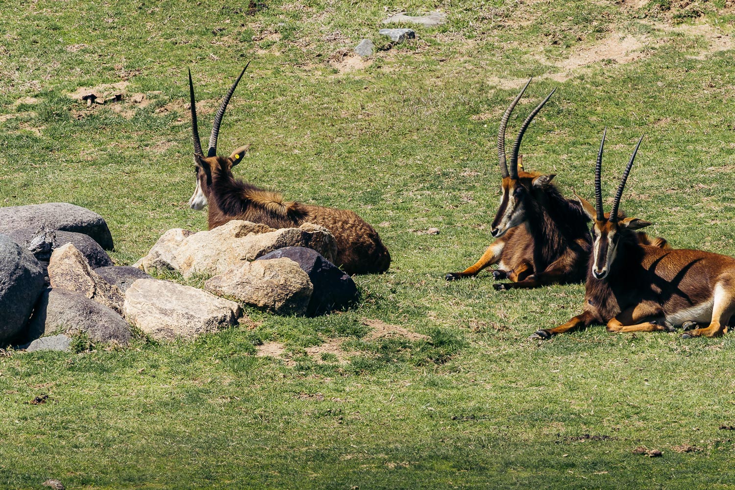 California | Roads and Destinations