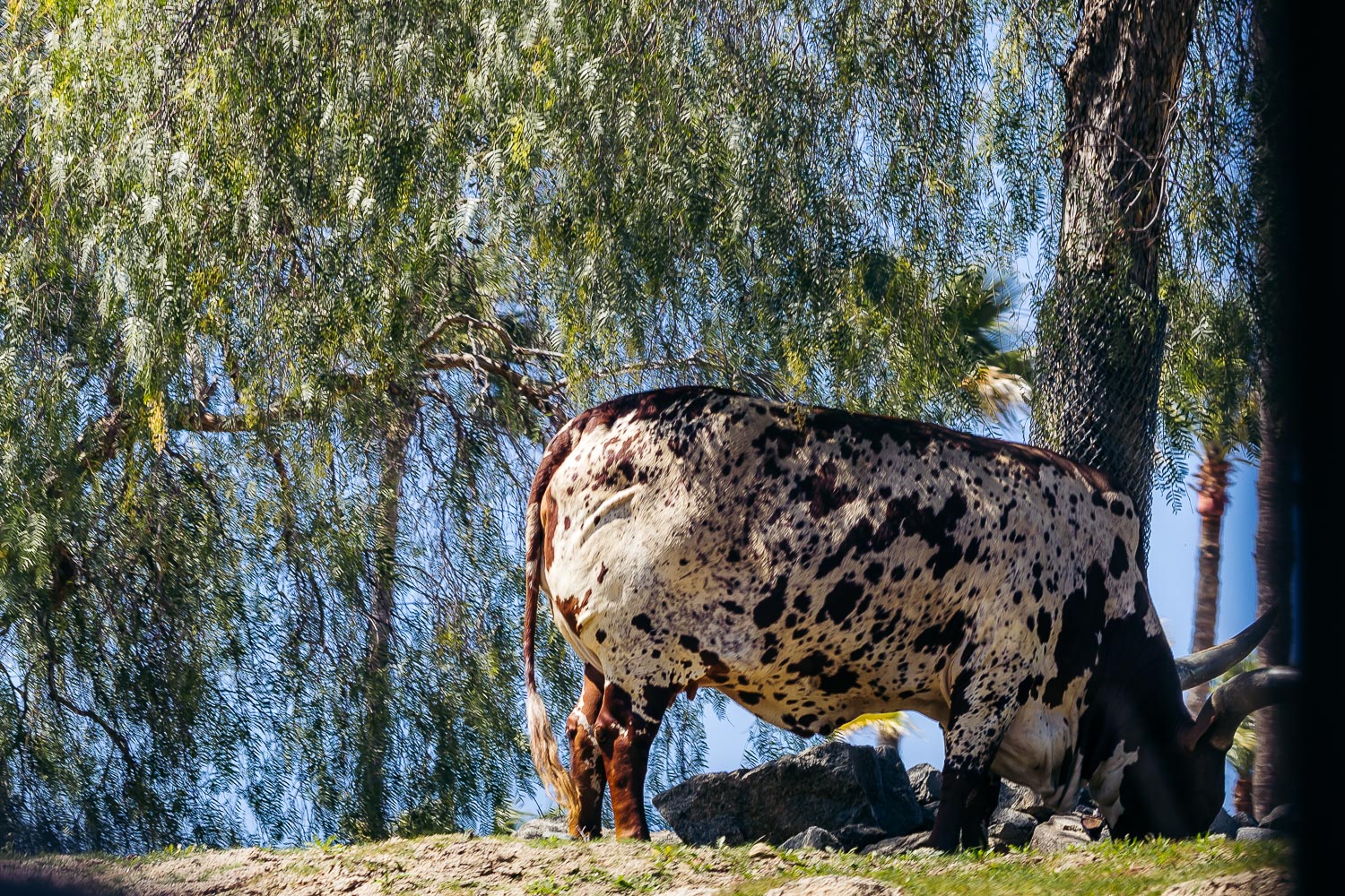 California | Roads and Destinations