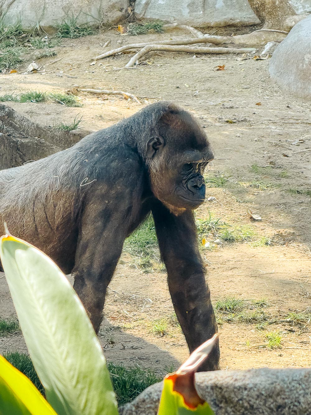 California | Roads and Destinations