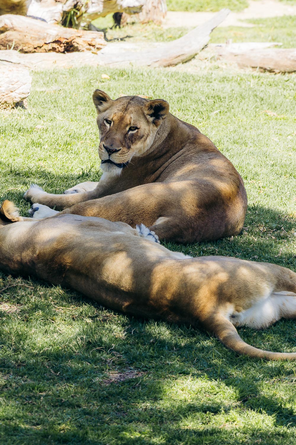 California | Roads and Destinations