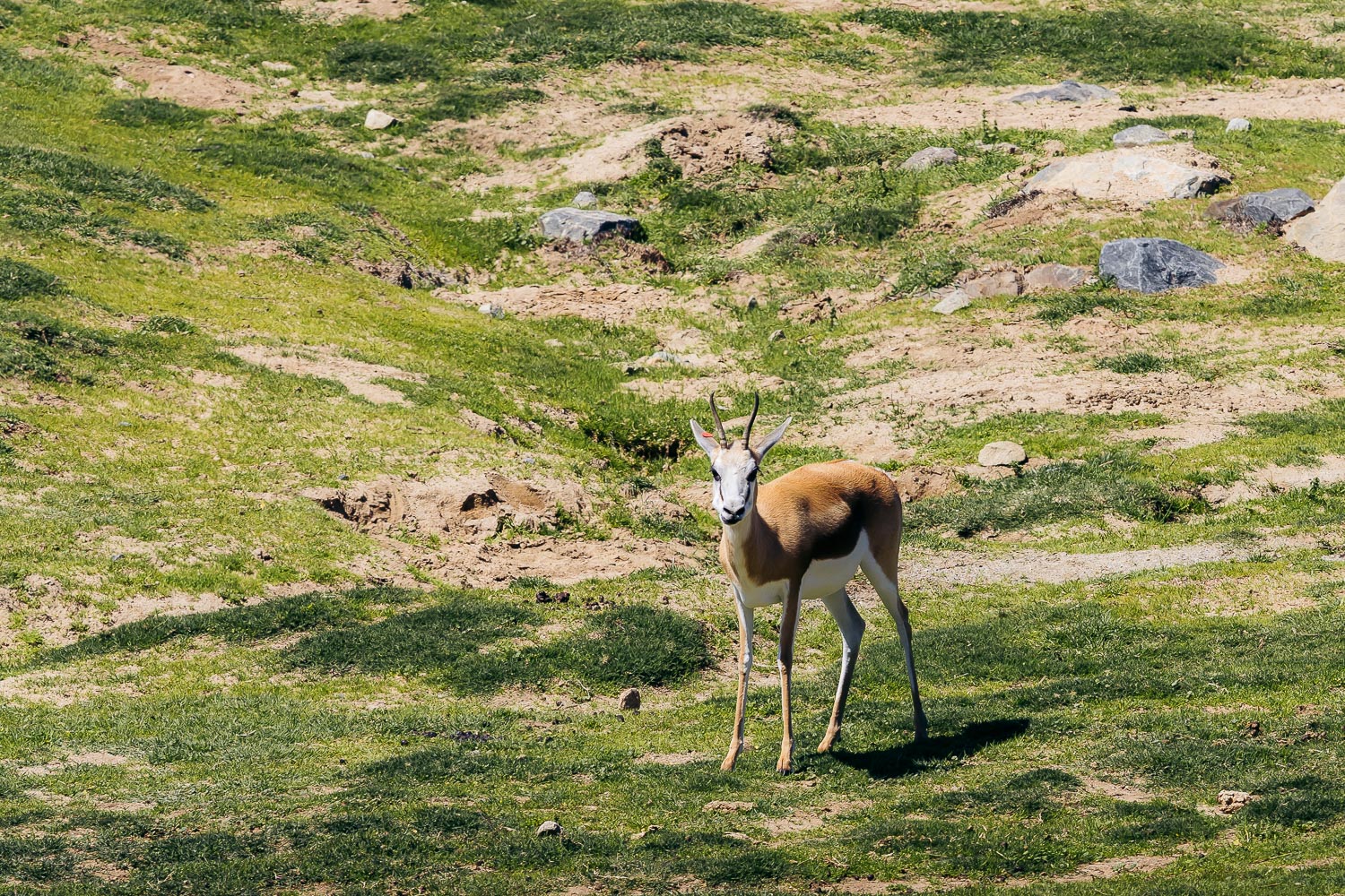 California | Roads and Destinations