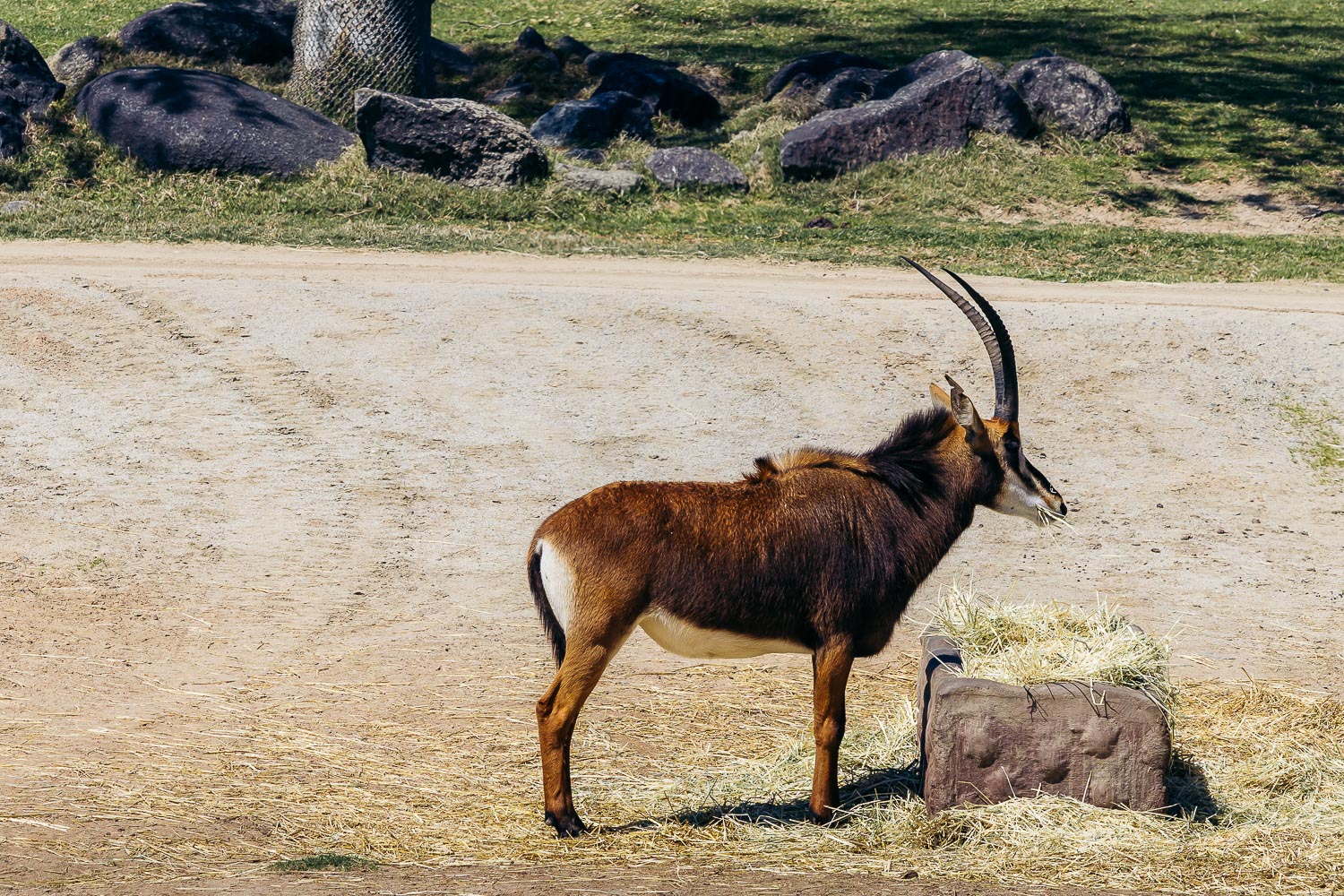 California | Roads and Destinations