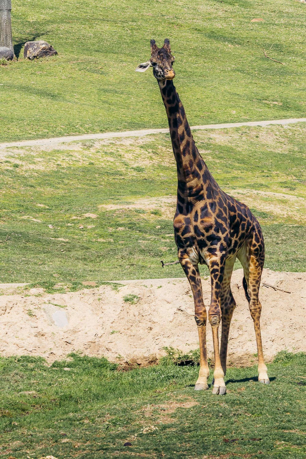 California | Roads and Destinations