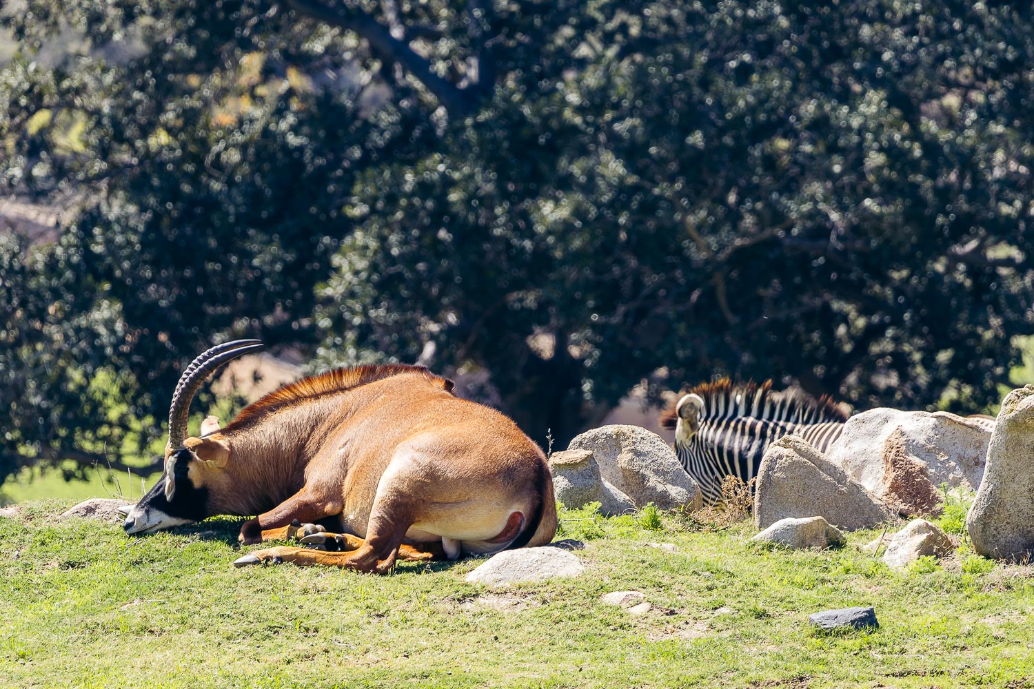 California | Roads and Destinations