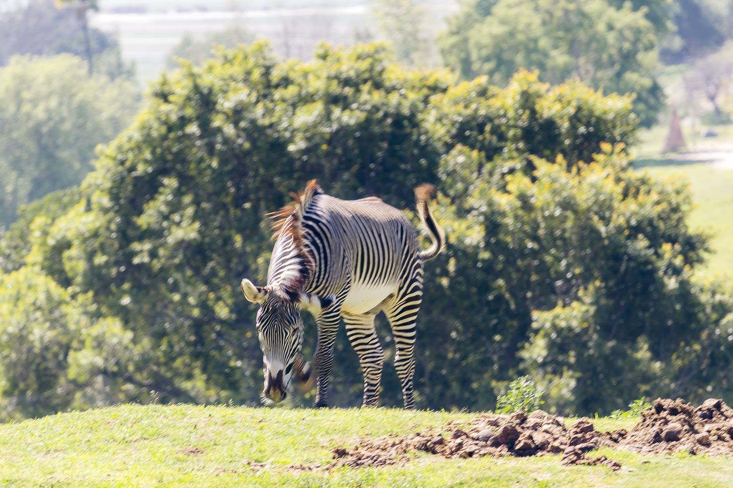 California | Roads and Destinations