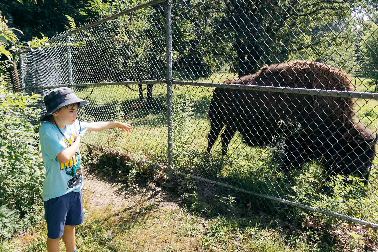 Chicago - Minneapolis. | Roads and Destinations