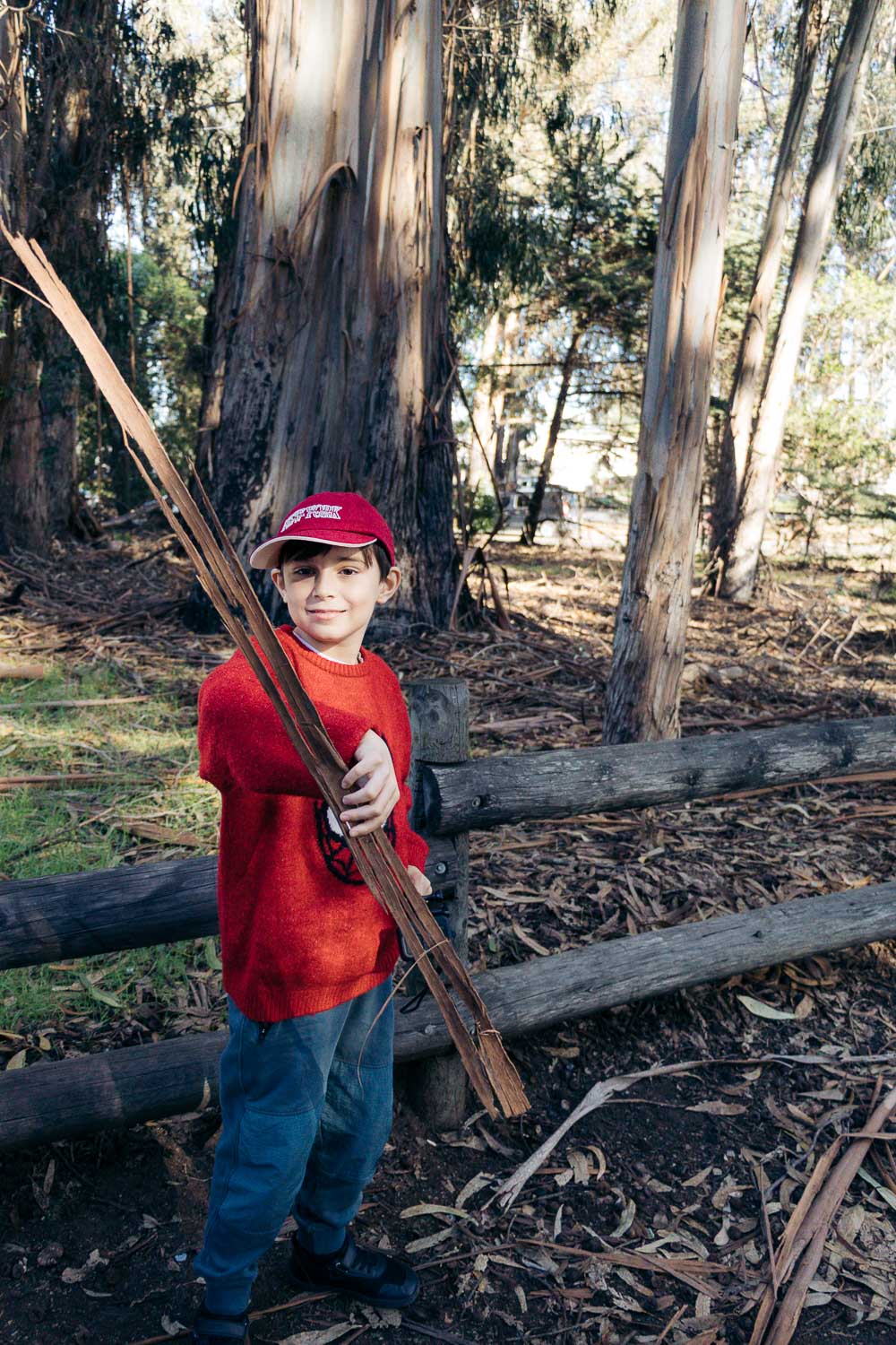 Central California | Roads and Destinations