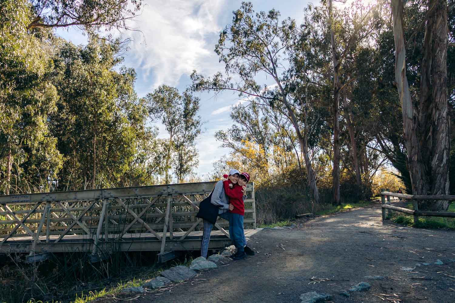 Pismo Beach Monarch Butterfly Grove | Roads and Destinations
