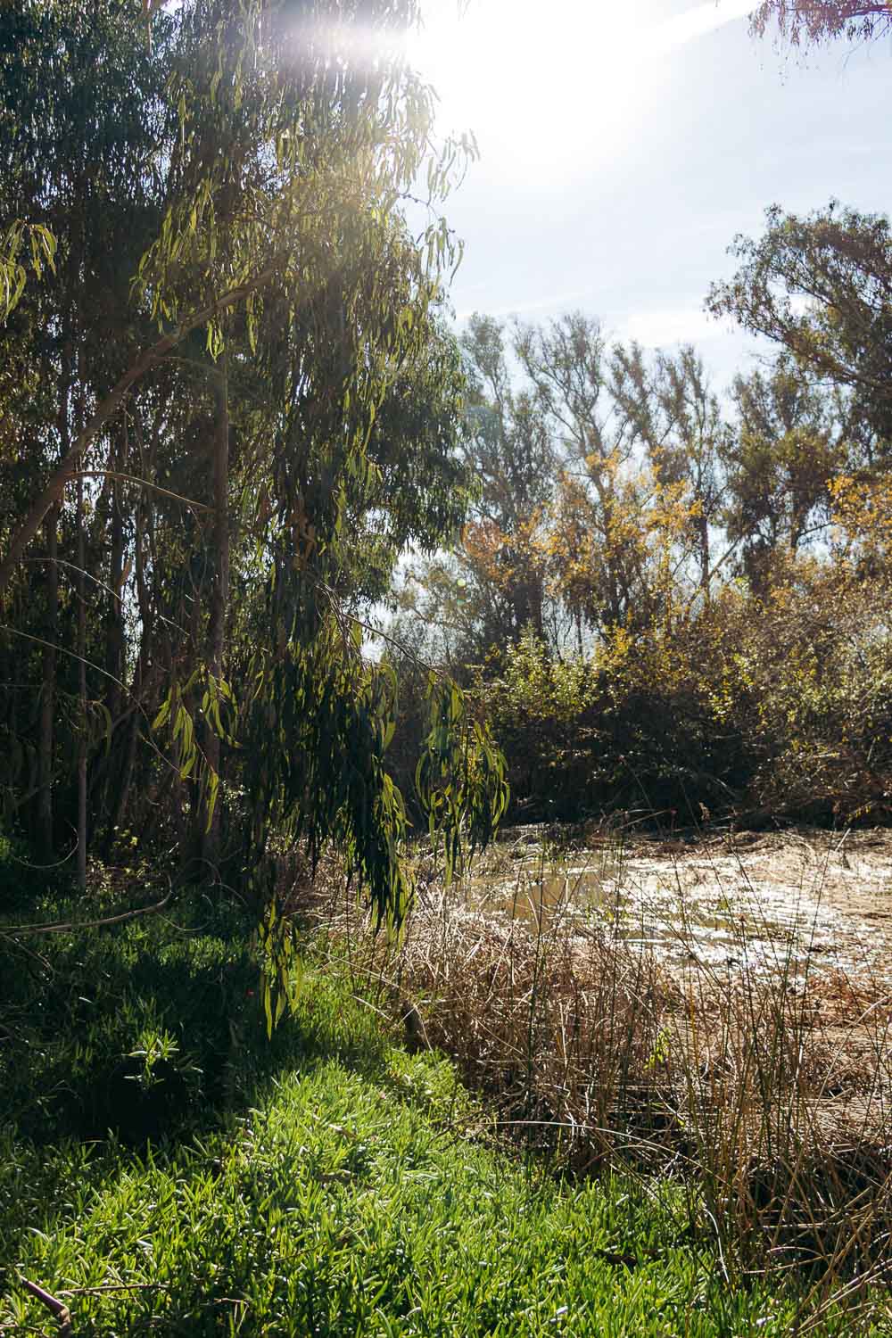 Central California | Roads and Destinations