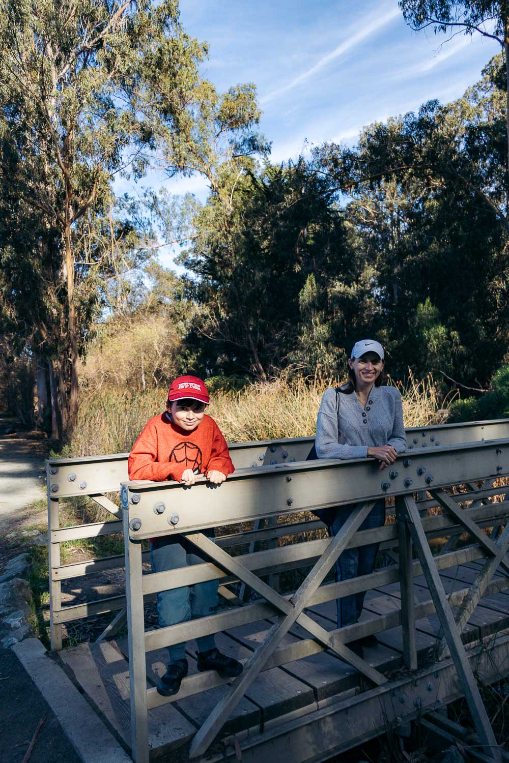 Pismo Beach Monarch Butterfly Grove | Roads and Destinations