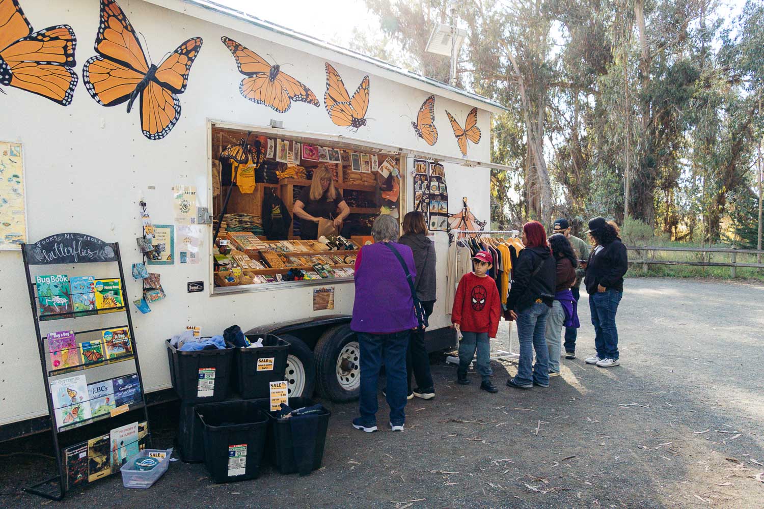 Pismo Beach Monarch Butterfly Grove | Roads and Destinations