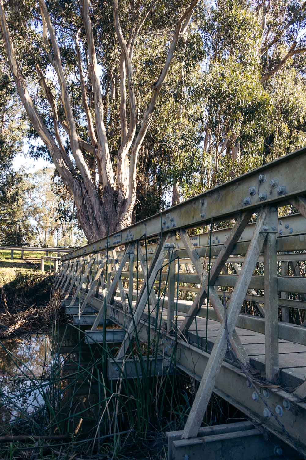 Central California | Roads and Destinations