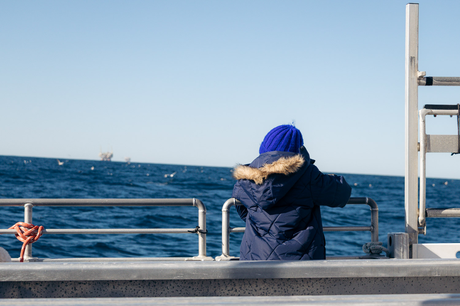 Ventura Whale Watching. | Roads and Destinations