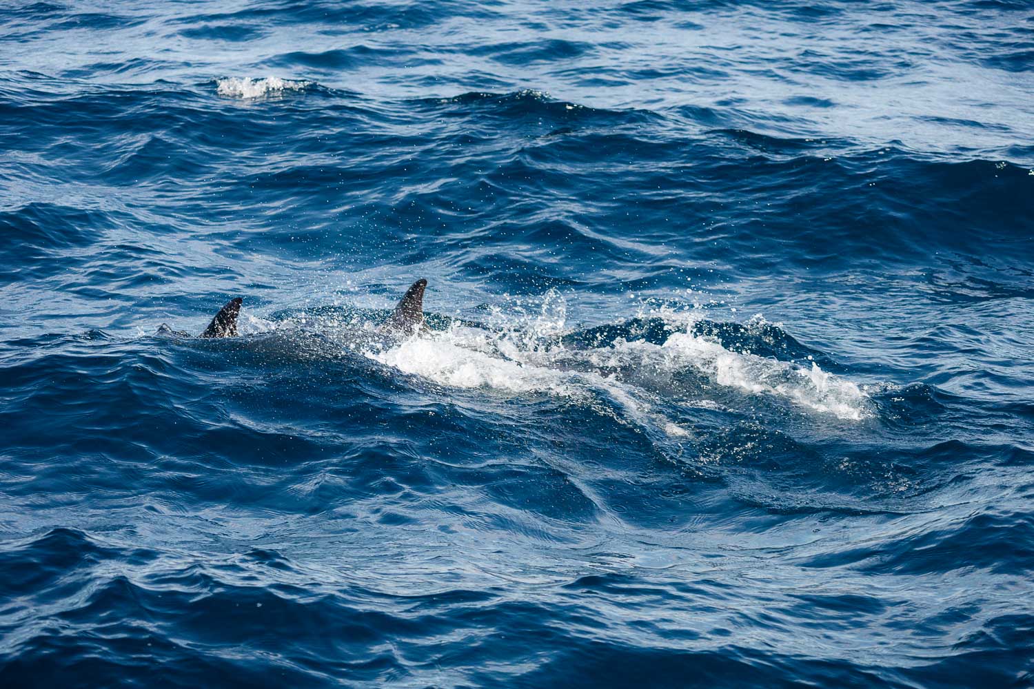 California | Roads and Destinations