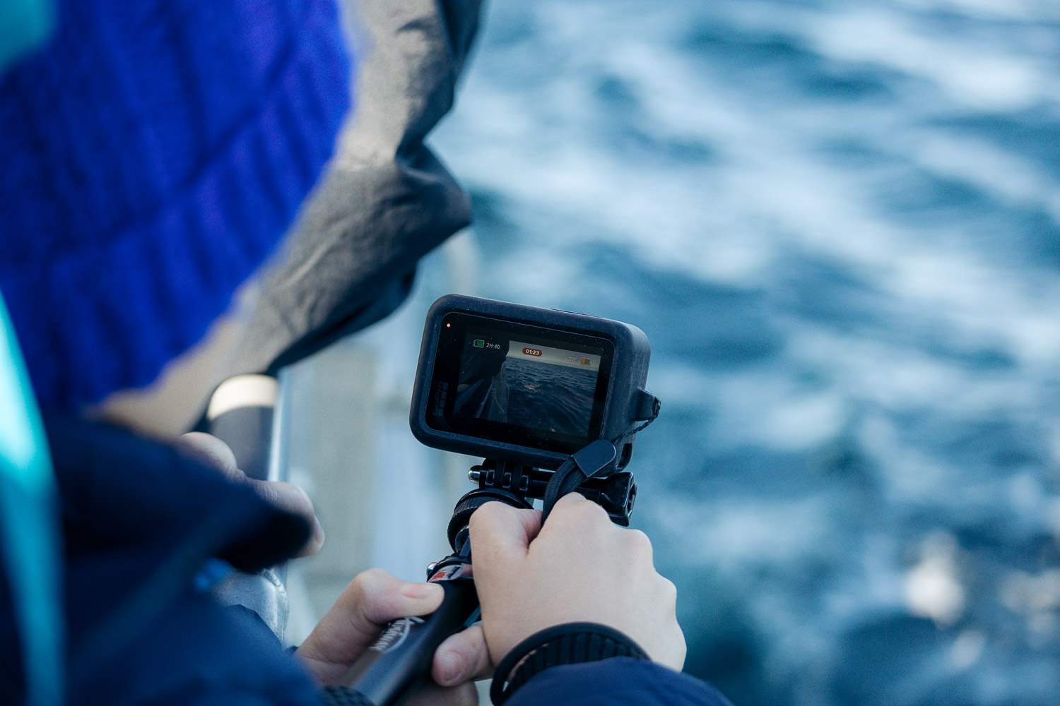 Ventura Whale Watching. | Roads and Destinations