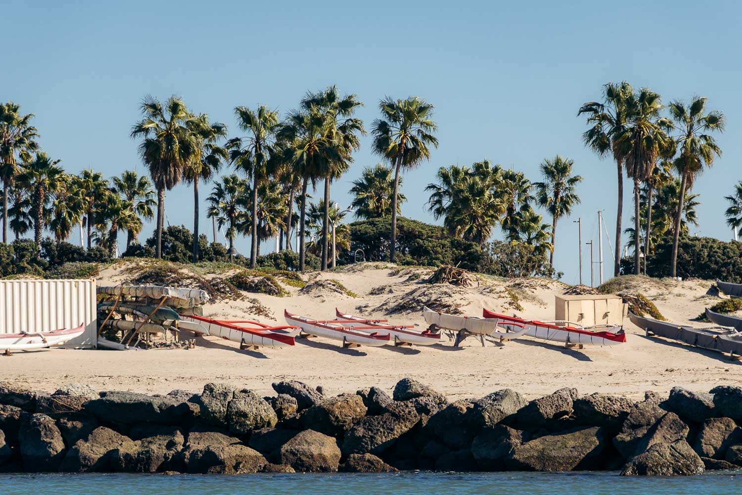 Ventura Whale Watching. | Roads and Destinations