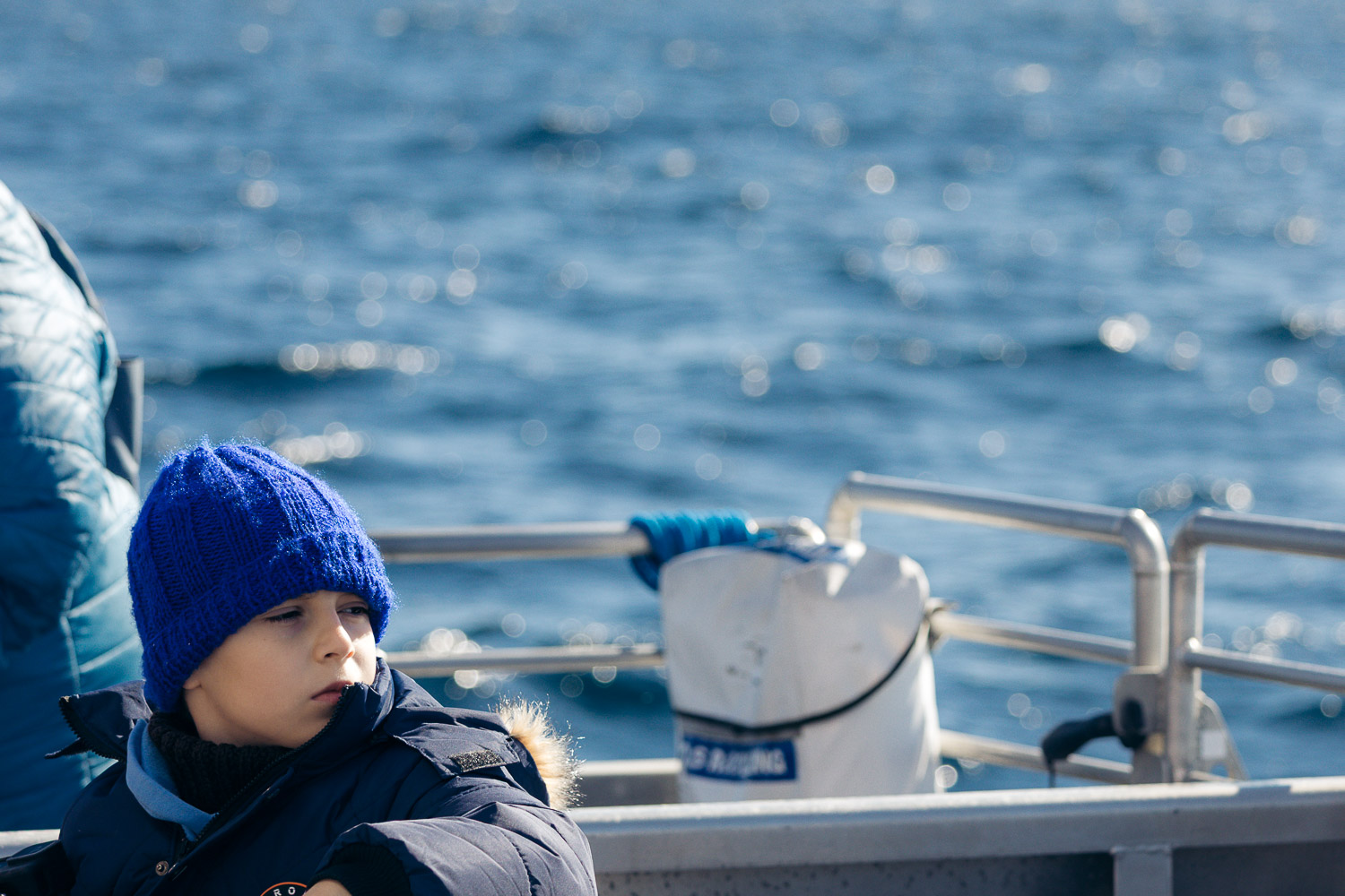 Ventura Whale Watching. | Roads and Destinations