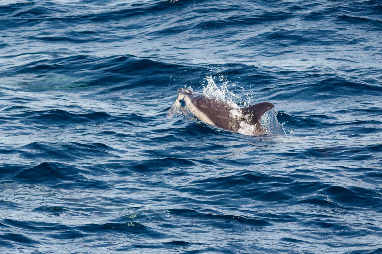 California | Roads and Destinations