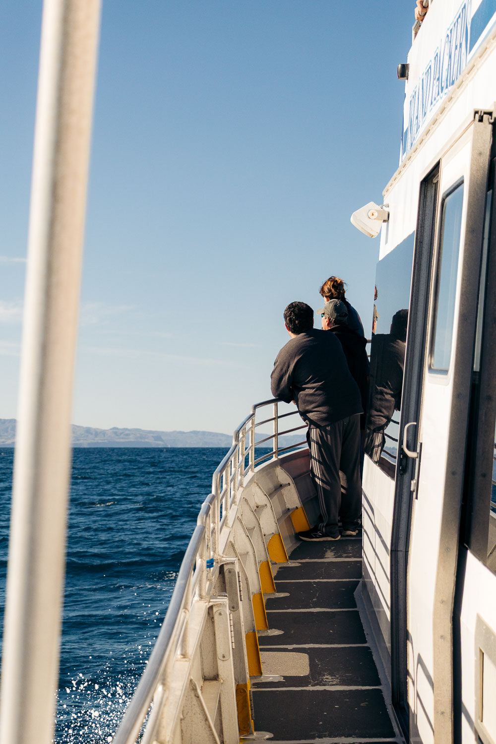 Ventura Whale Watching. | Roads and Destinations