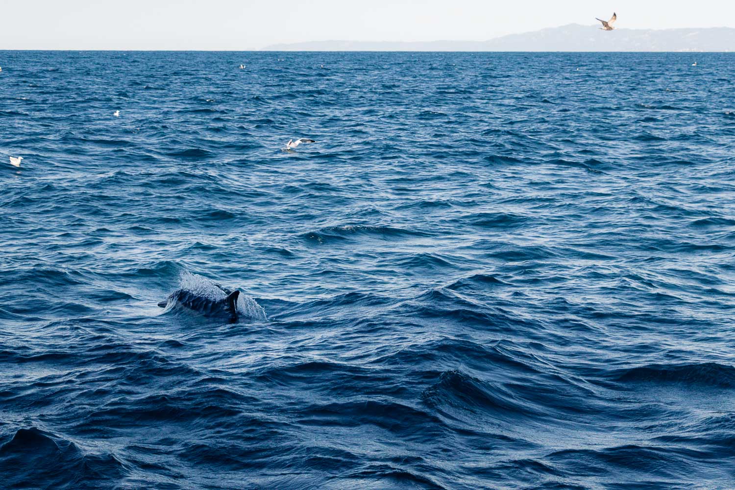 California | Roads and Destinations