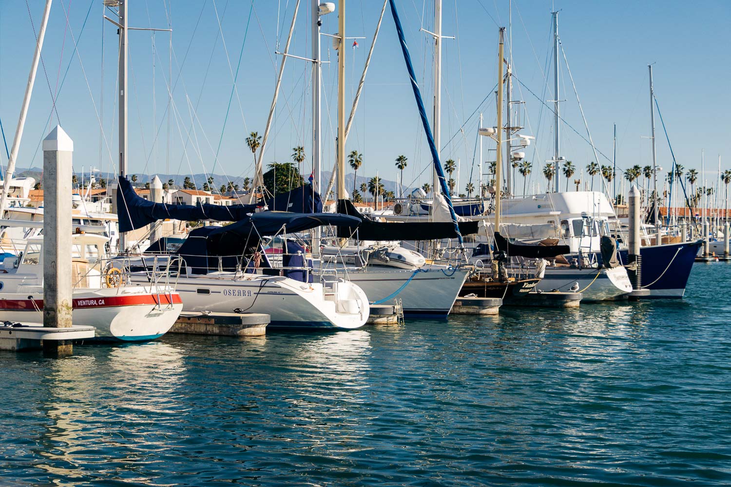 Ventura Whale Watching. | Roads and Destinations