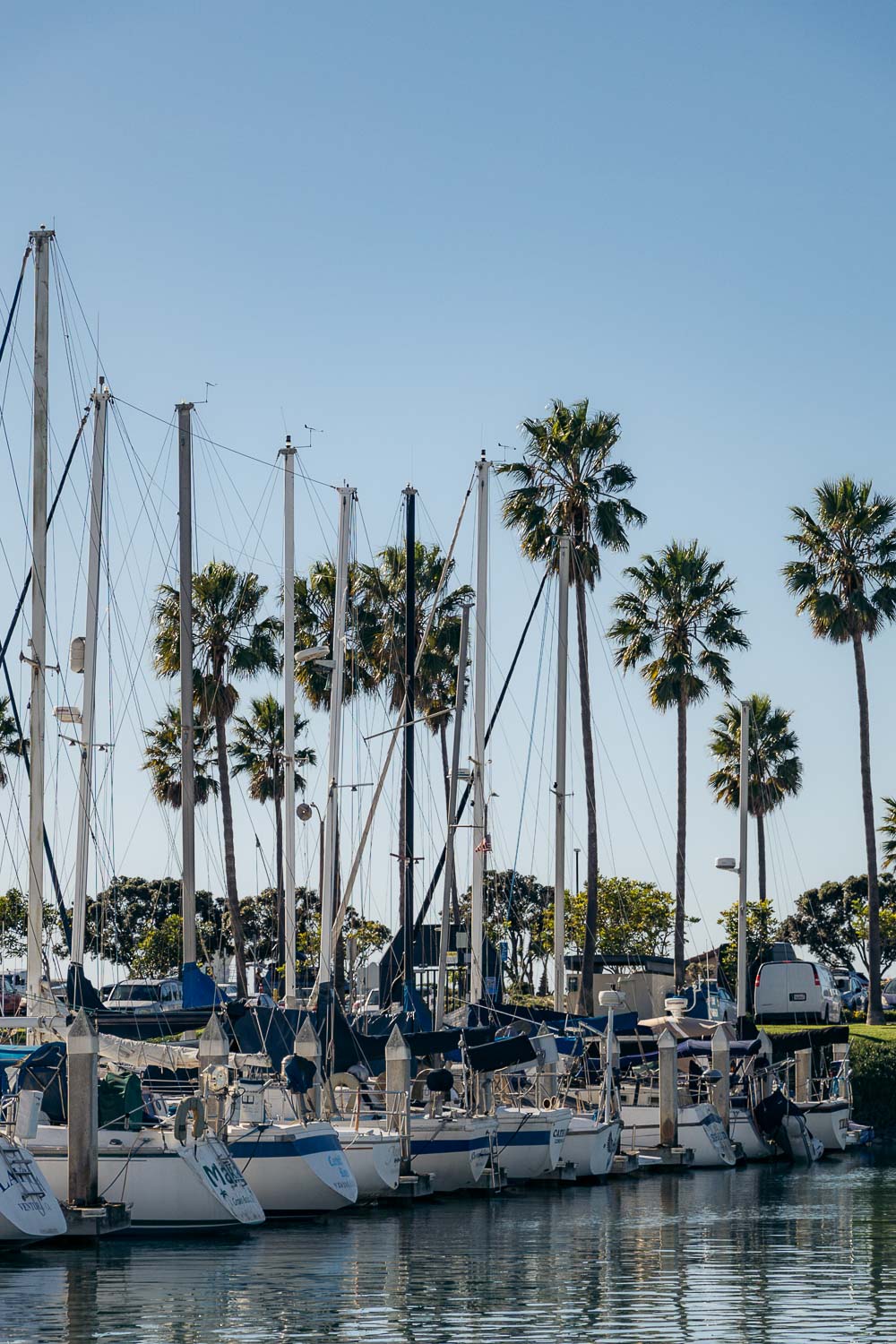 Ventura Whale Watching. | Roads and Destinations
