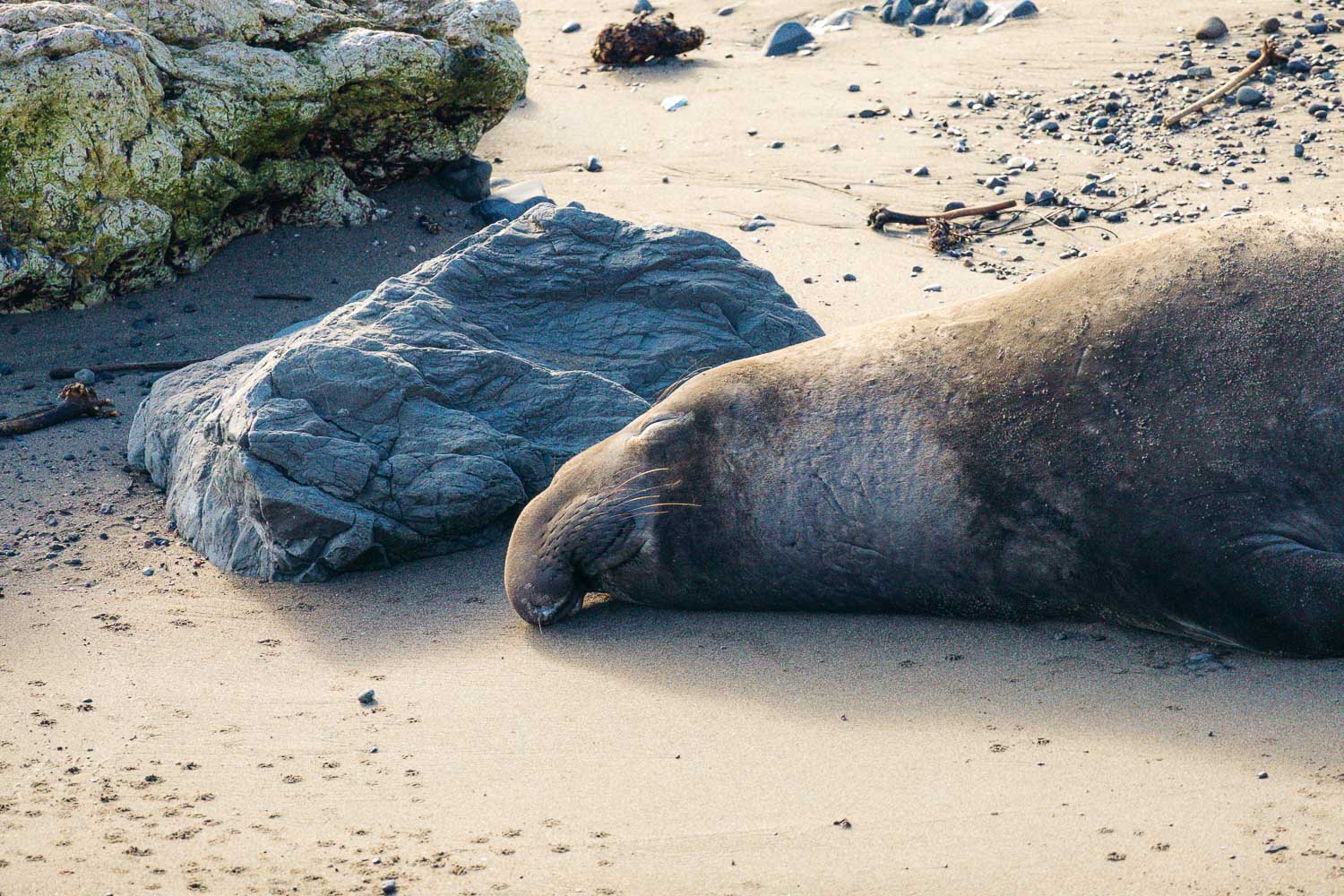 One day in San Simeon | Roads and Destinations