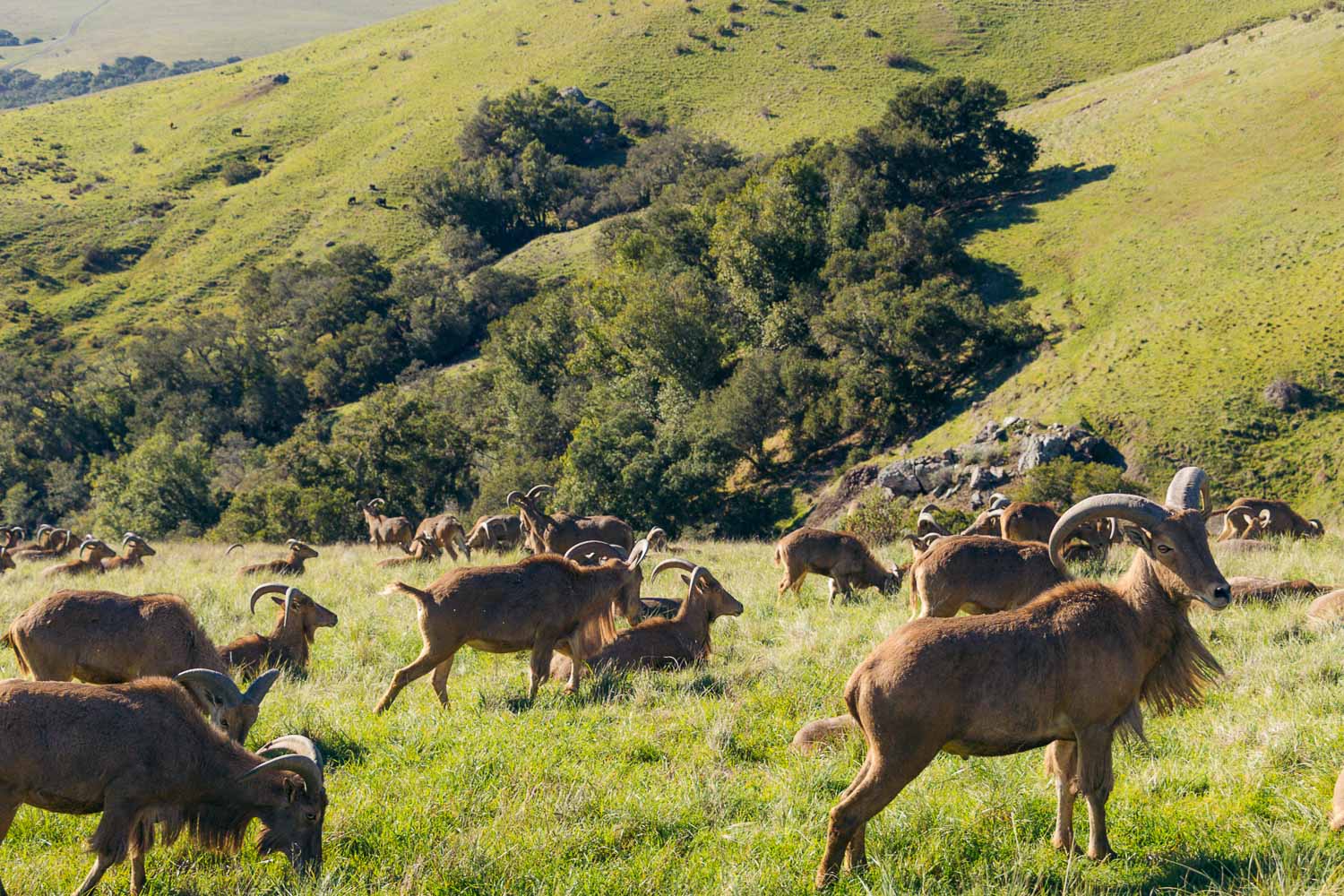 California | Roads and Destinations