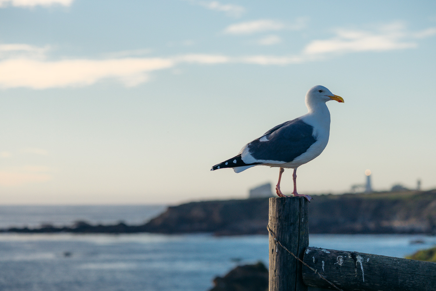 One day in San Simeon | Roads and Destinations