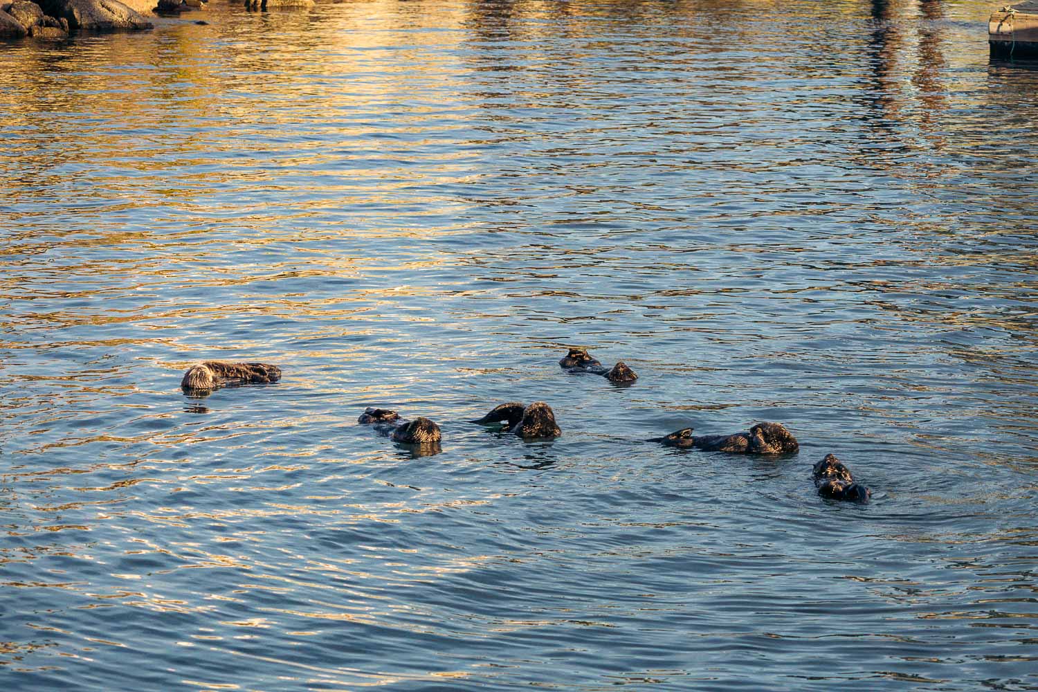 California | Roads and Destinations